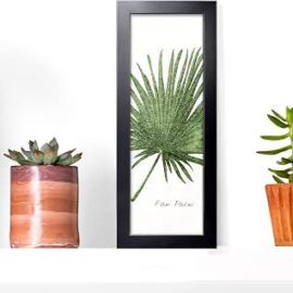 4X10 Photo Frame with Glass – Black